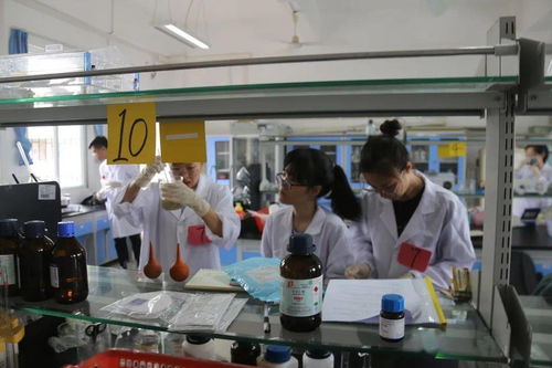 探索食品中的科學(xué) 食品科技學(xué)院風(fēng)貌及其在計(jì)算機(jī)技術(shù)培訓(xùn)中的融合